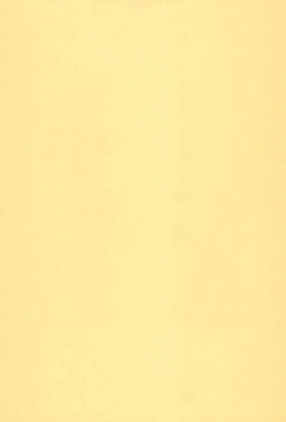 LOVELY CHERRY Page.67