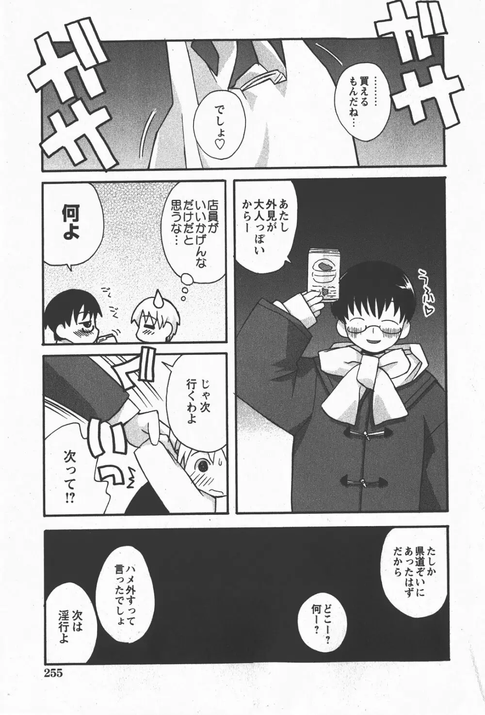 Comic Hime Dorobou 2008-01 Page.254