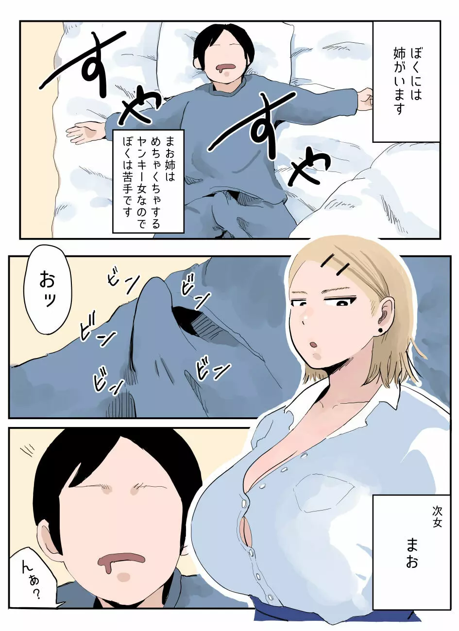 ぼくには姉がいます～まじめ長女と次女ヤンキー～ Page.12