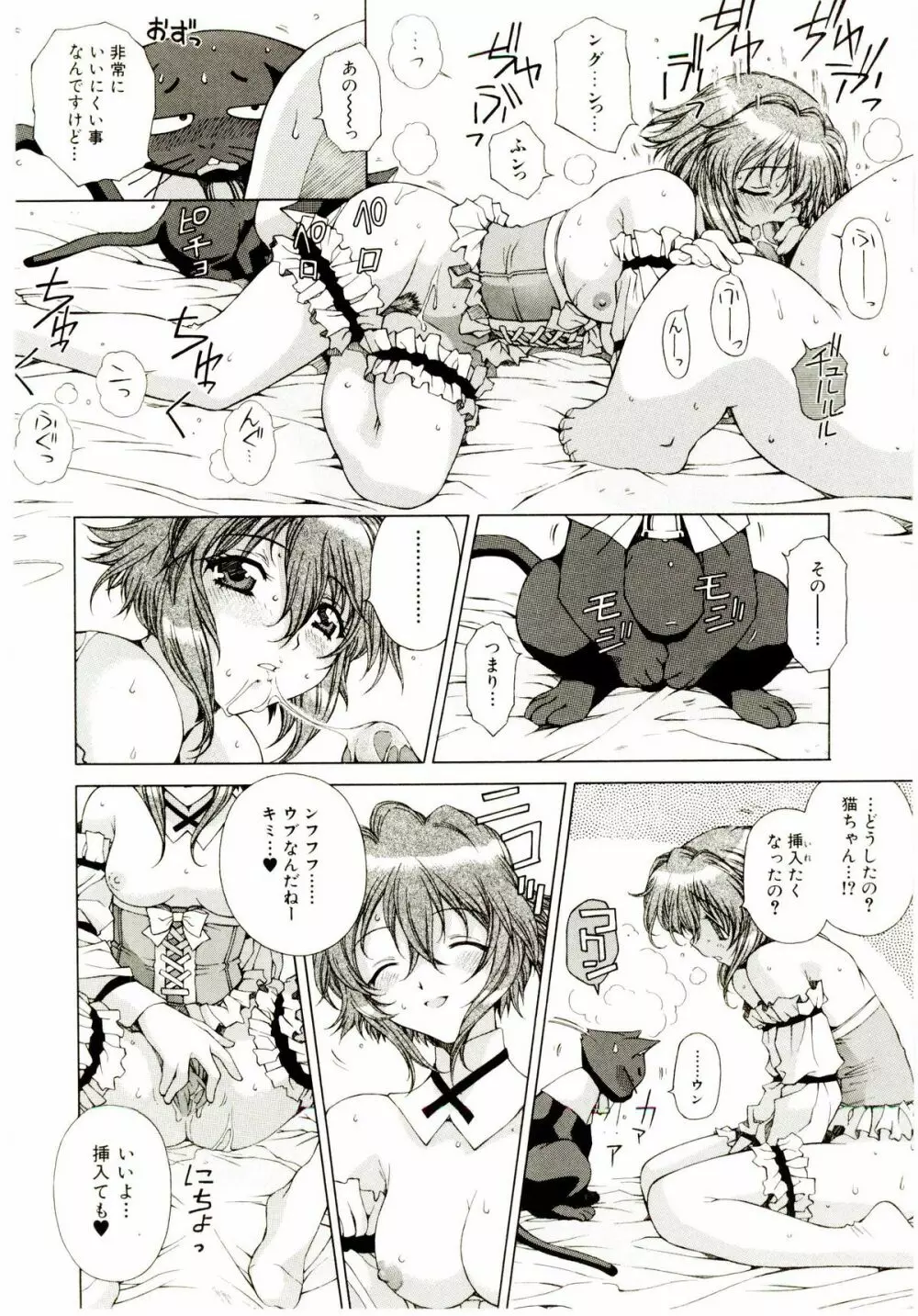 お茶の子祭² Page.43