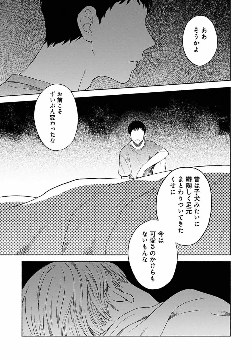 夜の兄弟 Page.15