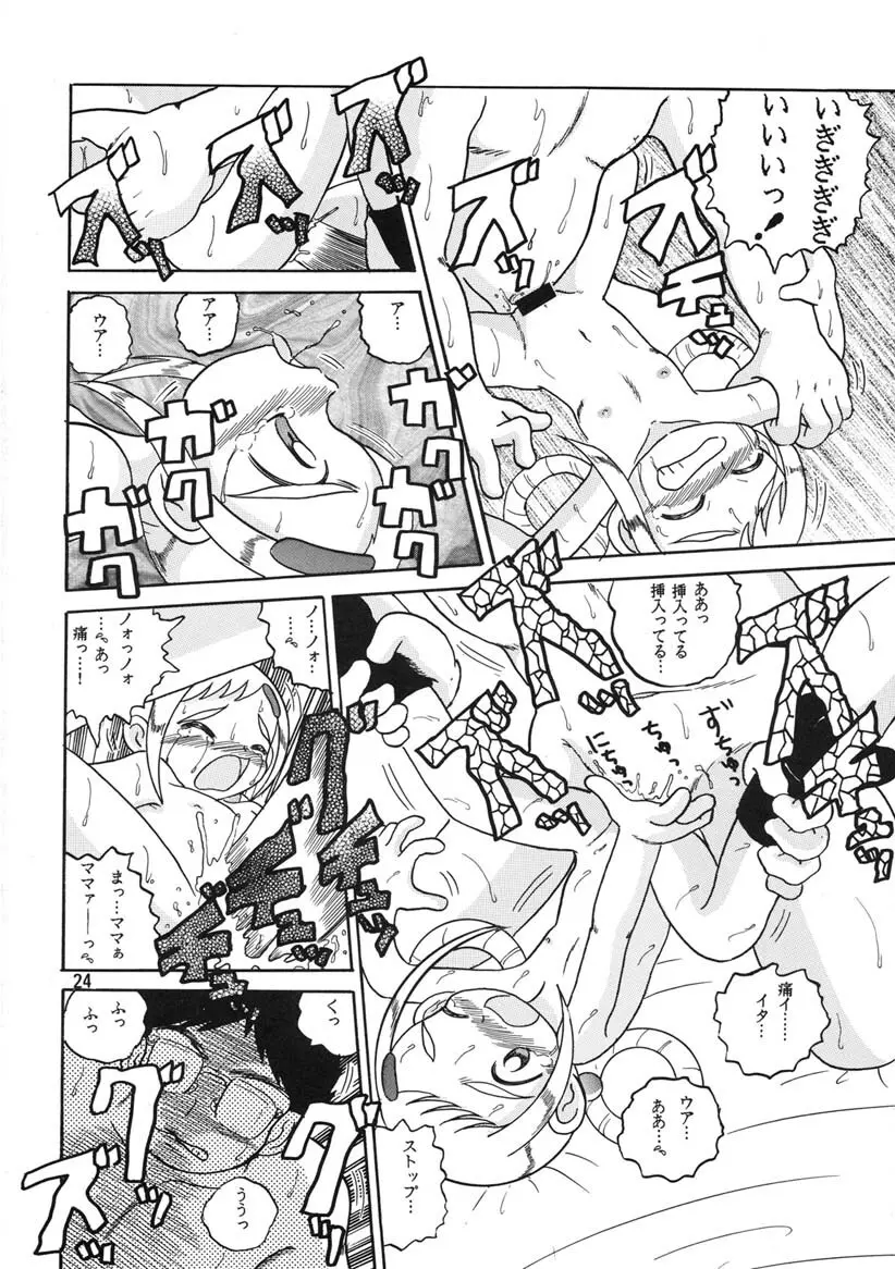 HI-PHS Ⅴ Page.23