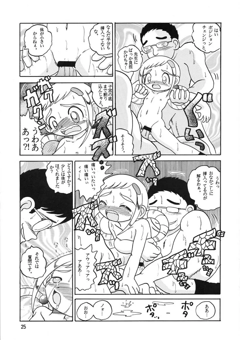 HI-PHS Ⅴ Page.24