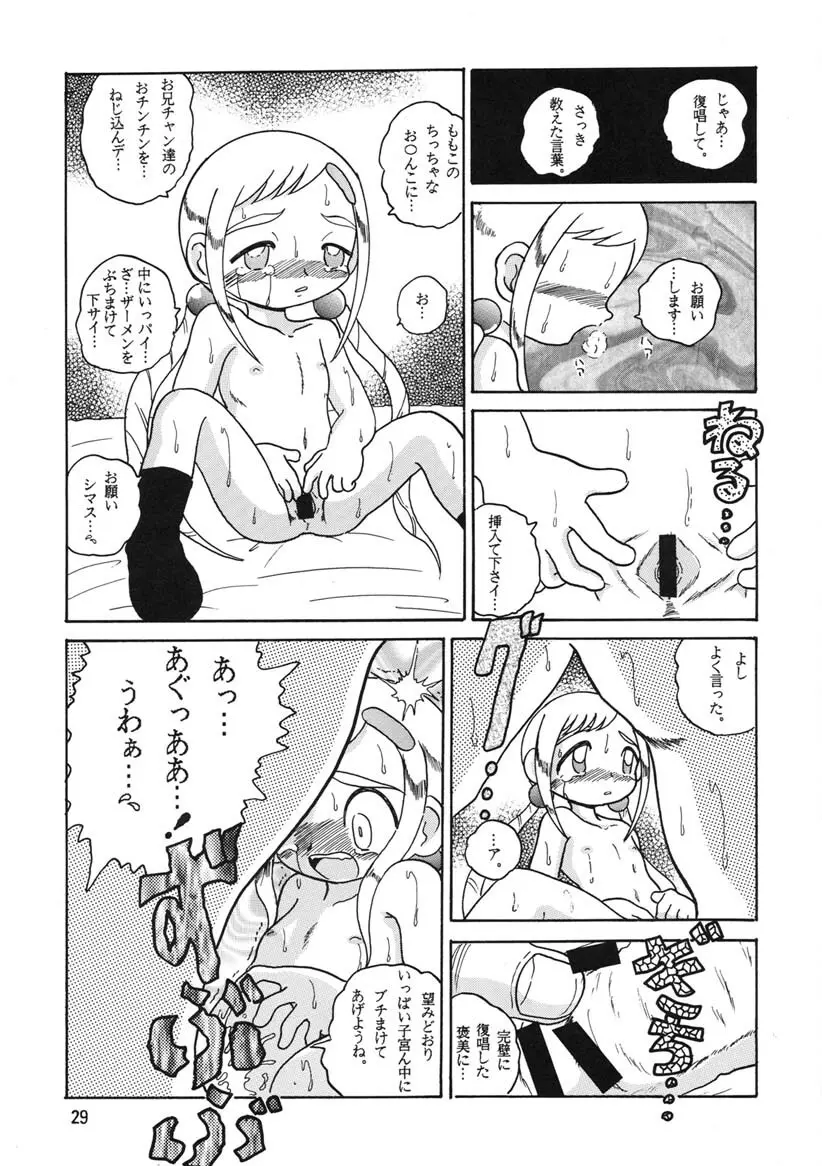 HI-PHS Ⅴ Page.28