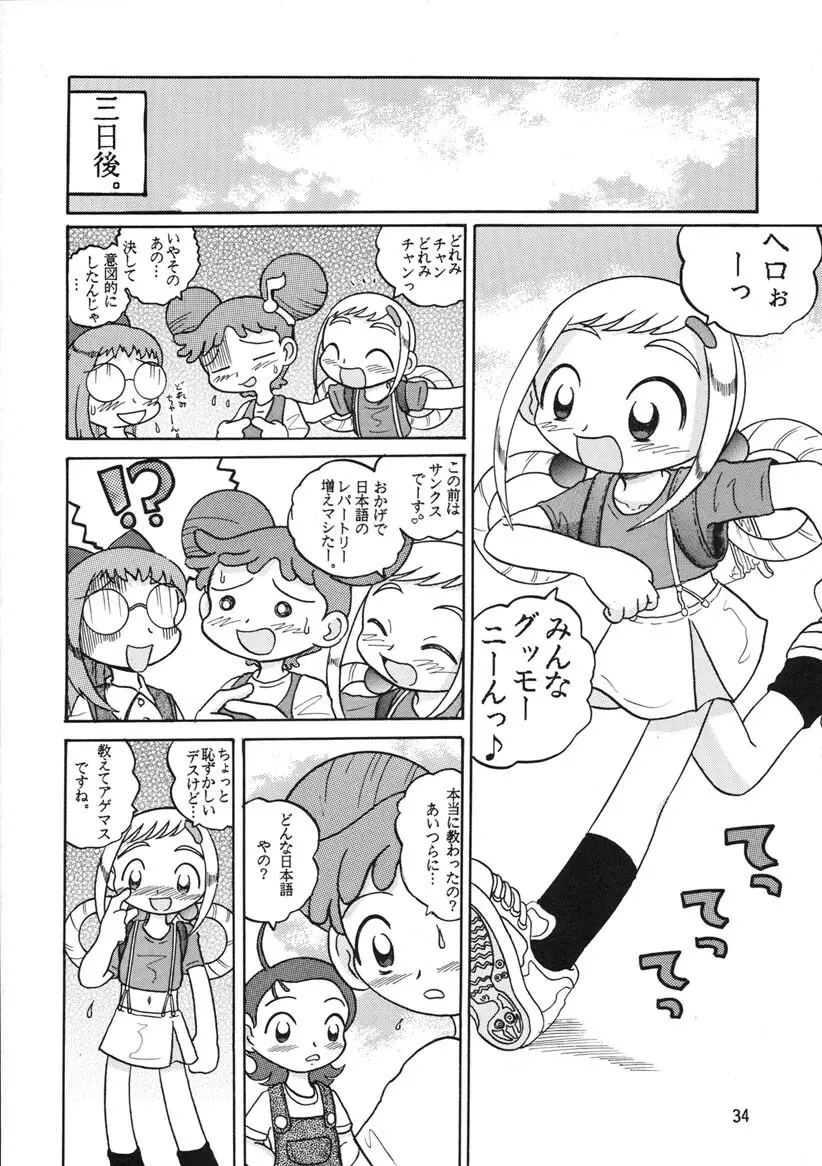 HI-PHS Ⅴ Page.33