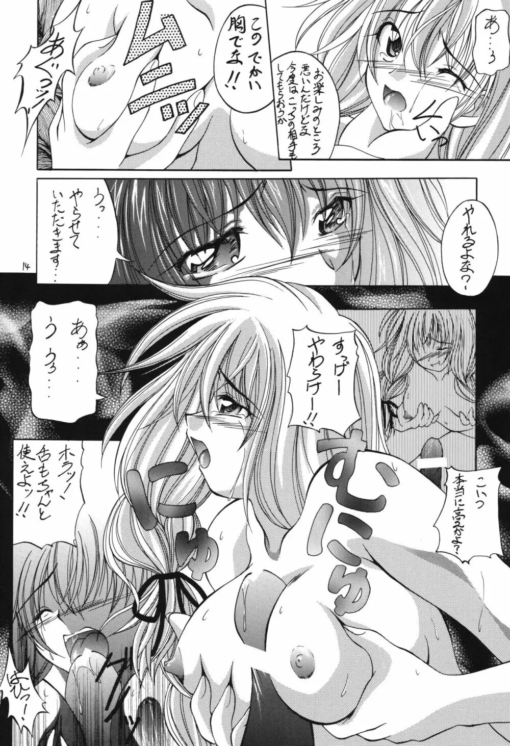 冬の嵐 ～ヴァルハラ第二章～ Page.14