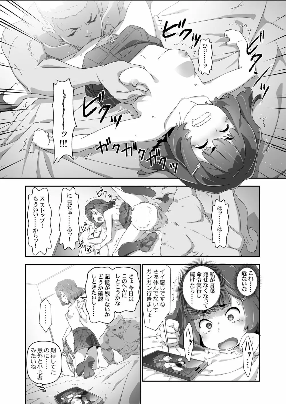 こころコントローラ2 Page.13