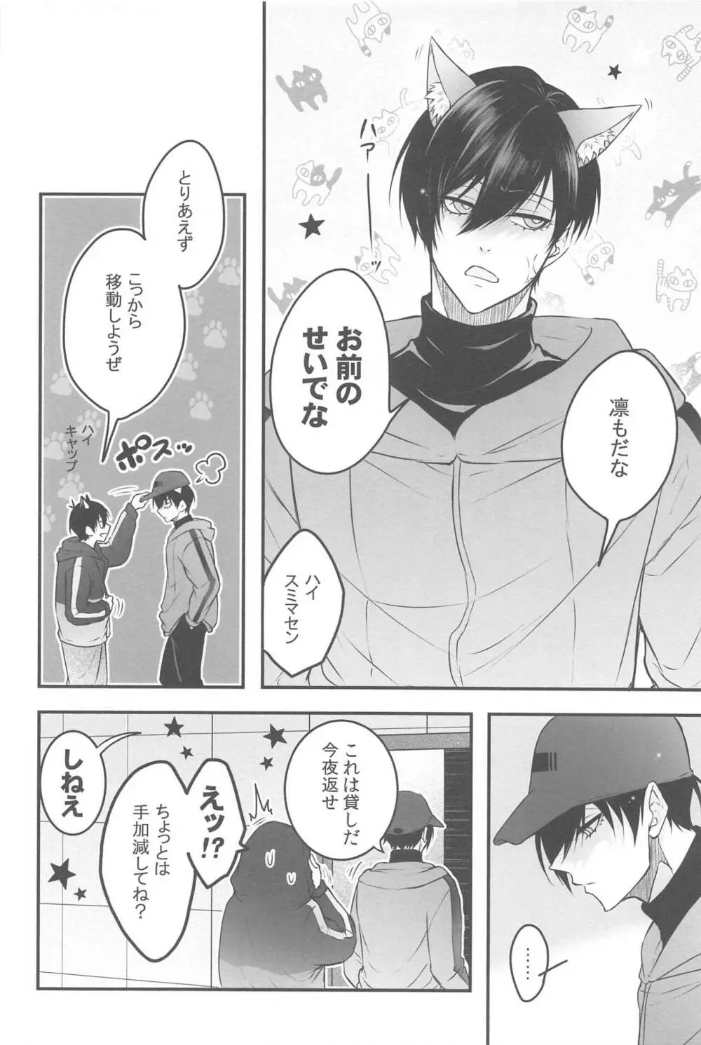 りんいさバラエティパック Page.17