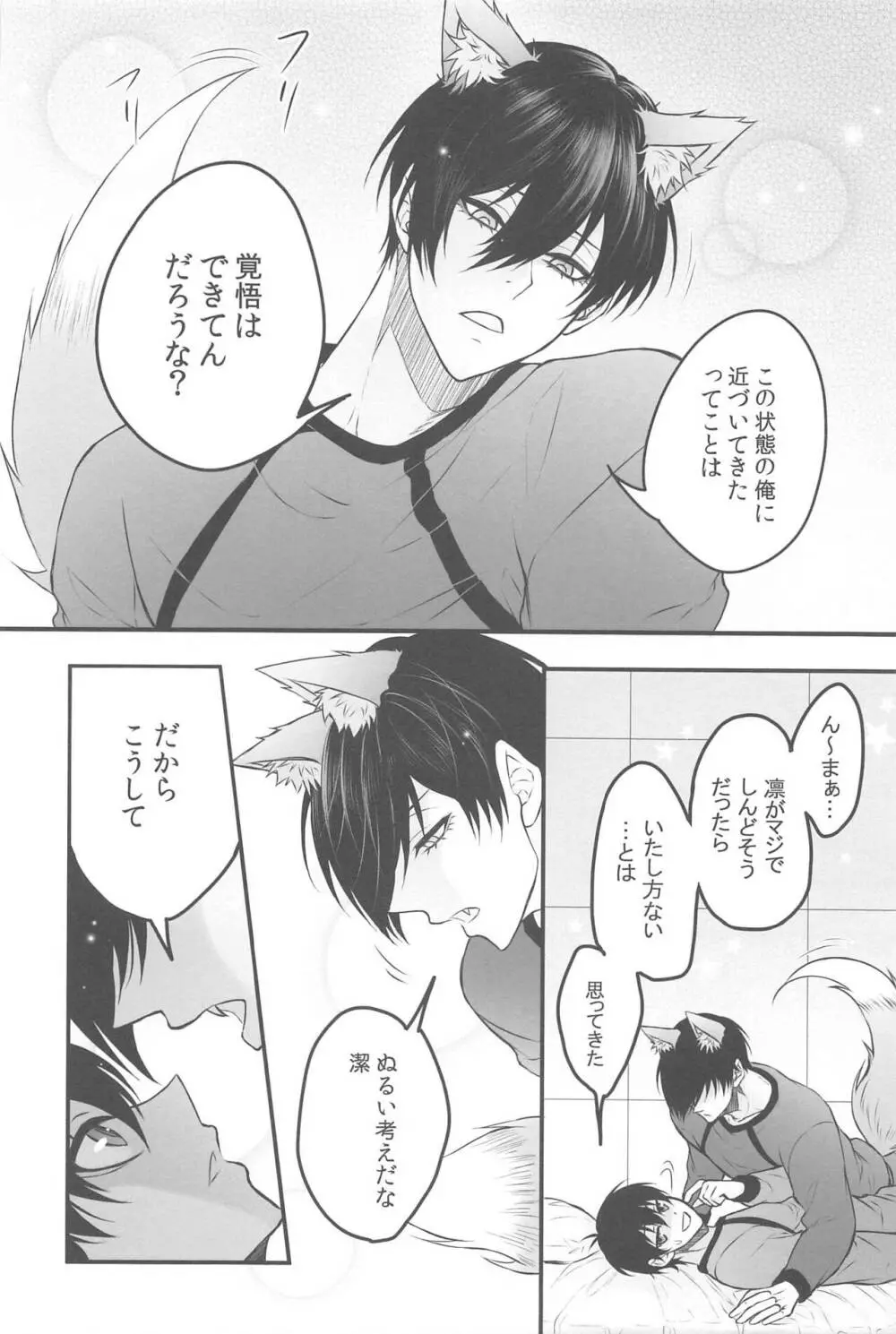 りんいさバラエティパック Page.25