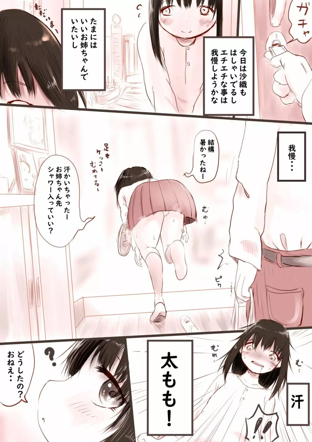 我慢できなかったお姉ちゃん Page.2