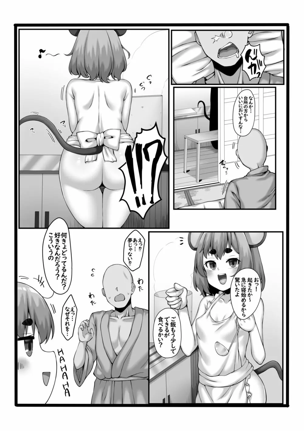 起きたら横にナズーリンがいた本 Page.13