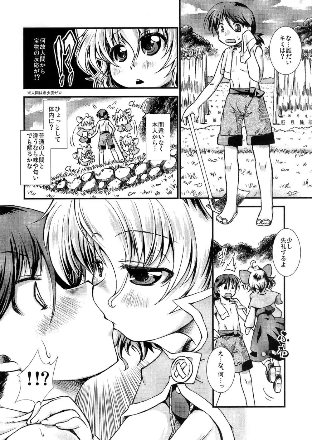 ザ ピラミッド スキーム ナズーリン Page.3