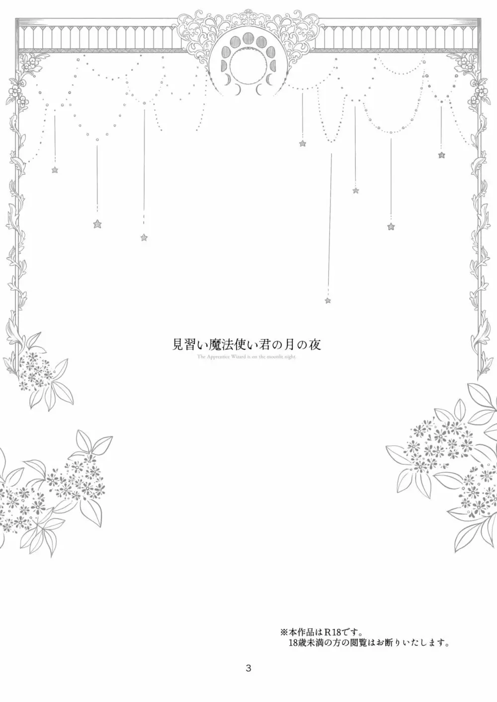 見習い魔法使い君の月の夜 Page.3