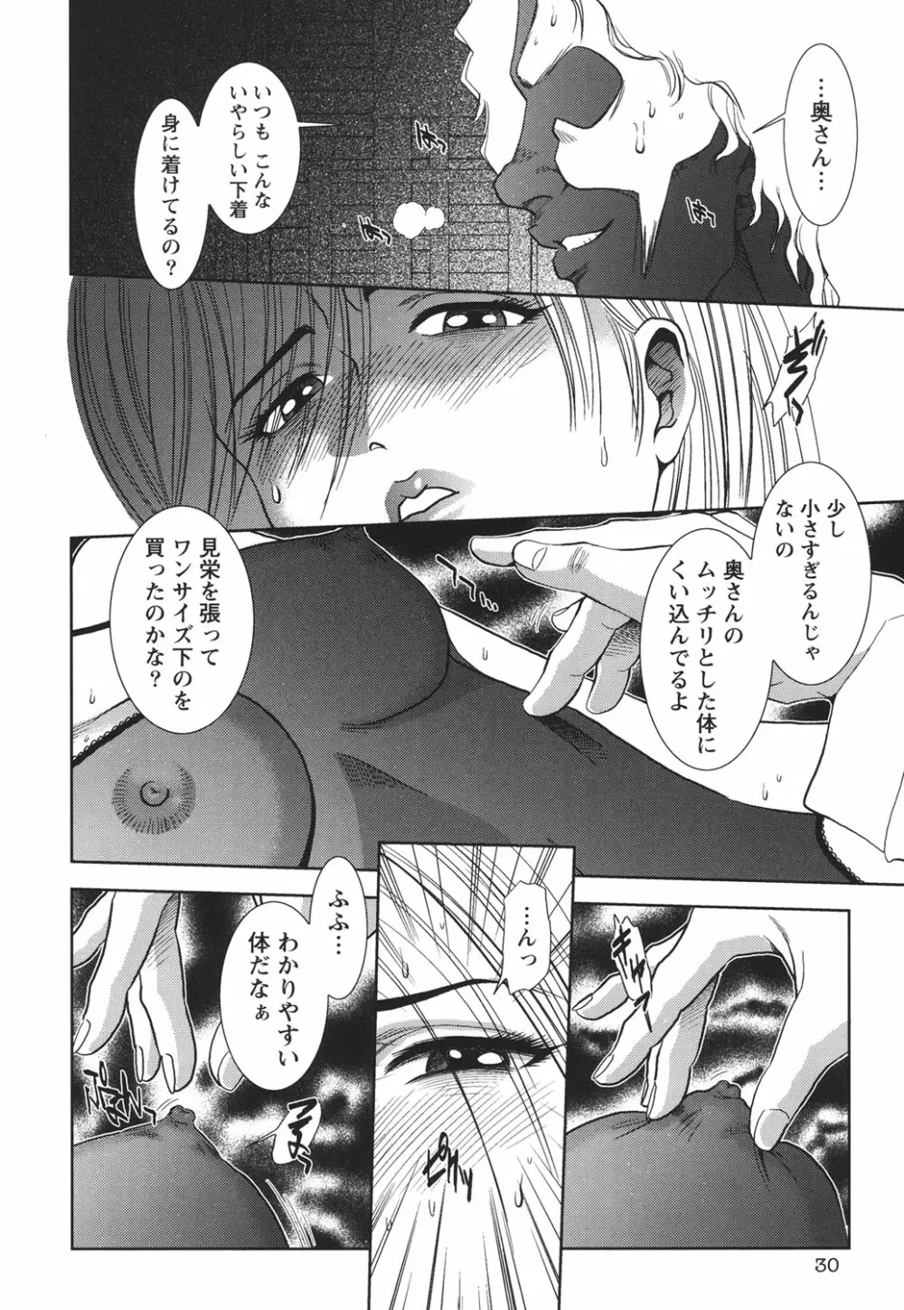 背徳の迷宮 Page.29