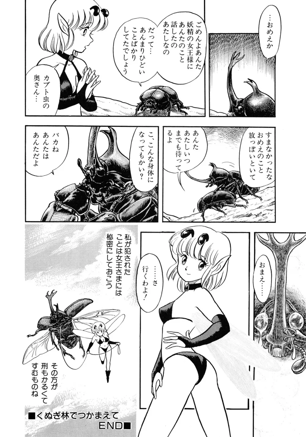 インセクト・ハンター Page.41