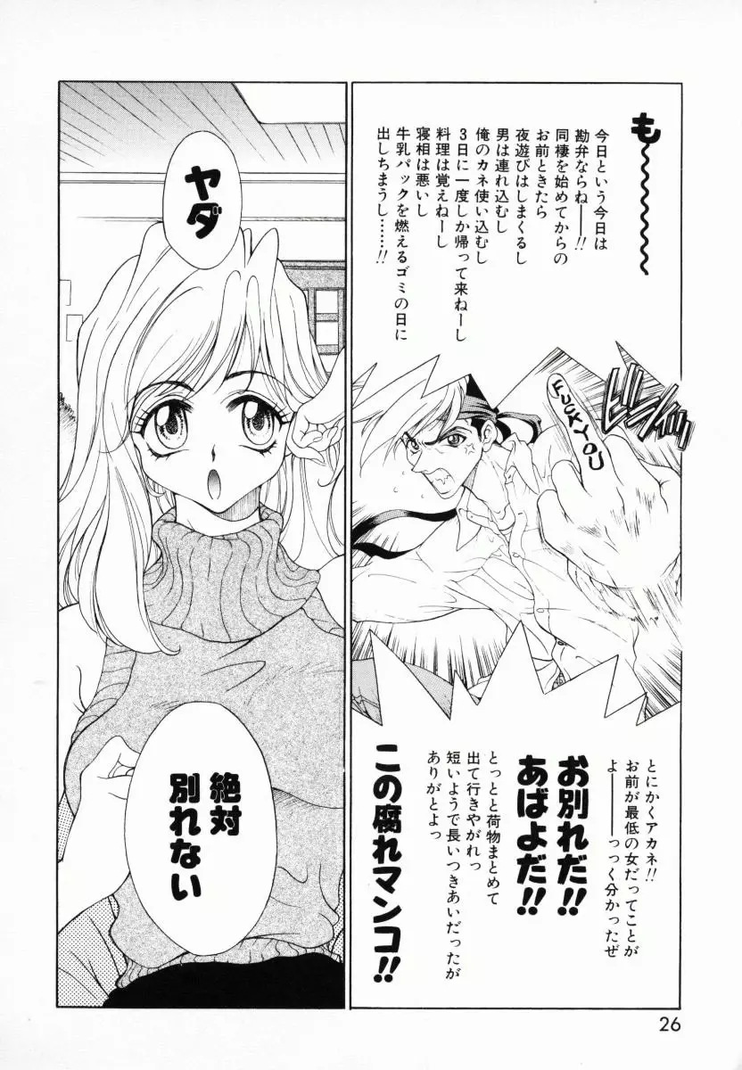 メラメロ Page.27