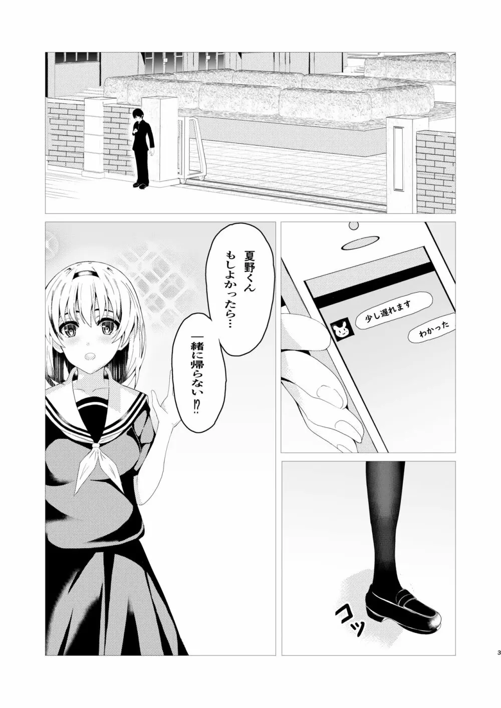 秘妹 -秘密な妹との関係- Page.3