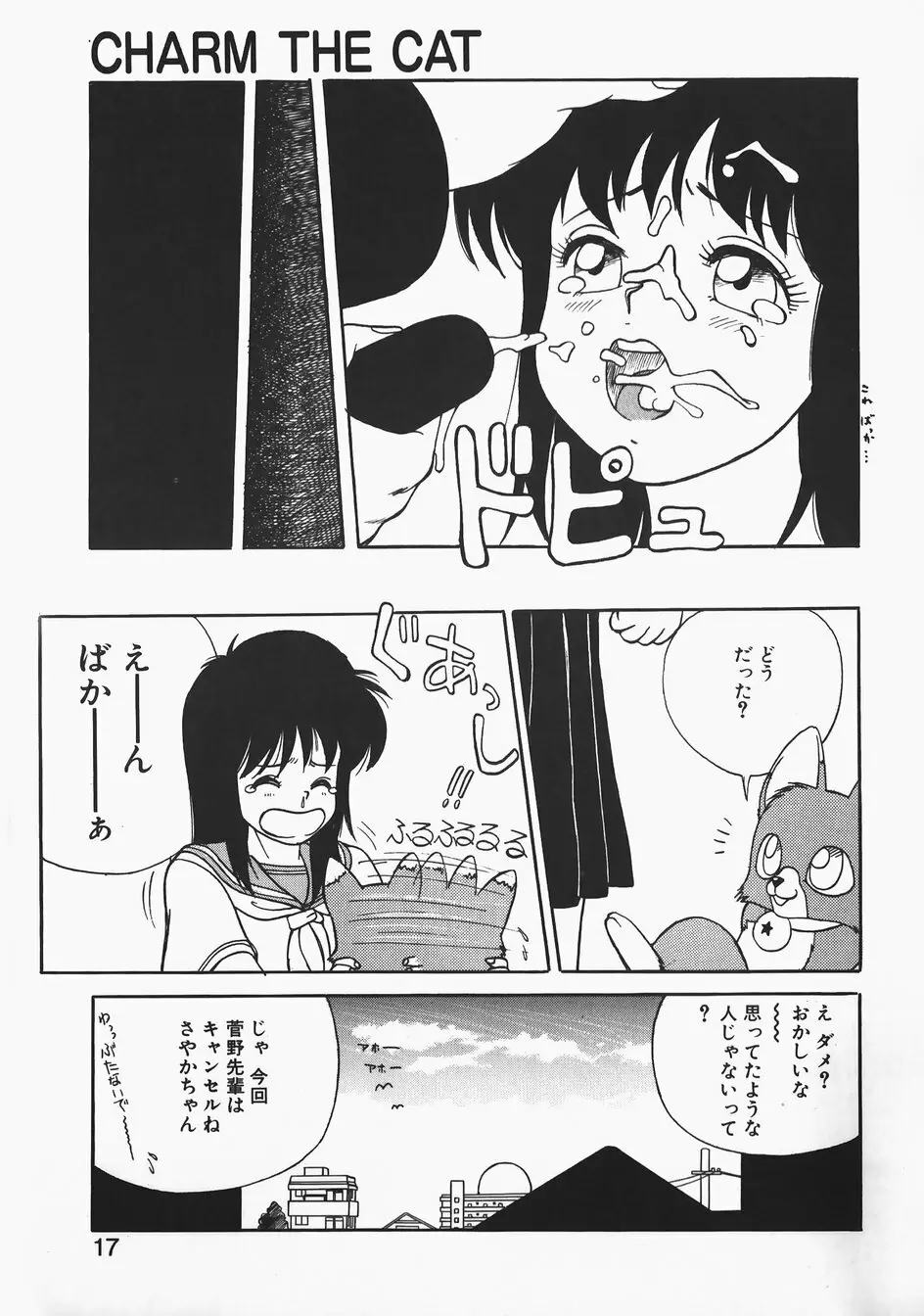 チャーム・ザ・キャット Page.17