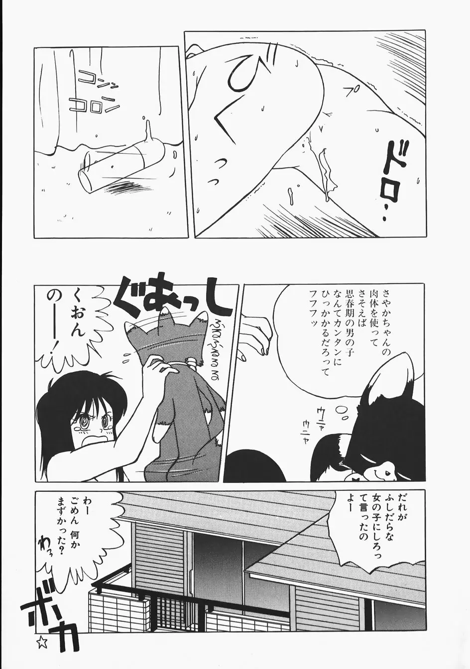 チャーム・ザ・キャット Page.29