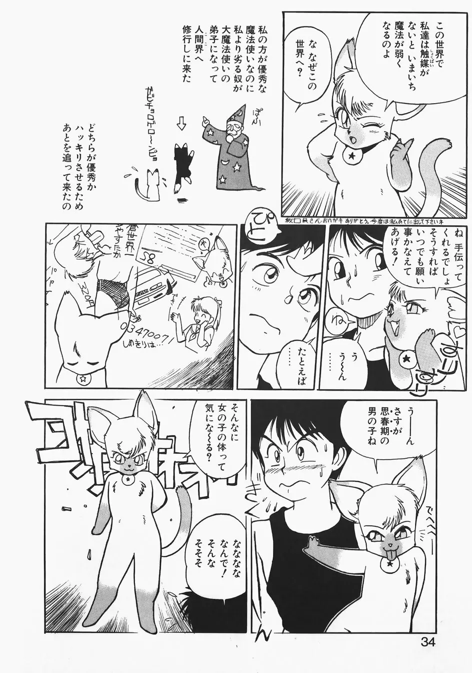 チャーム・ザ・キャット Page.34