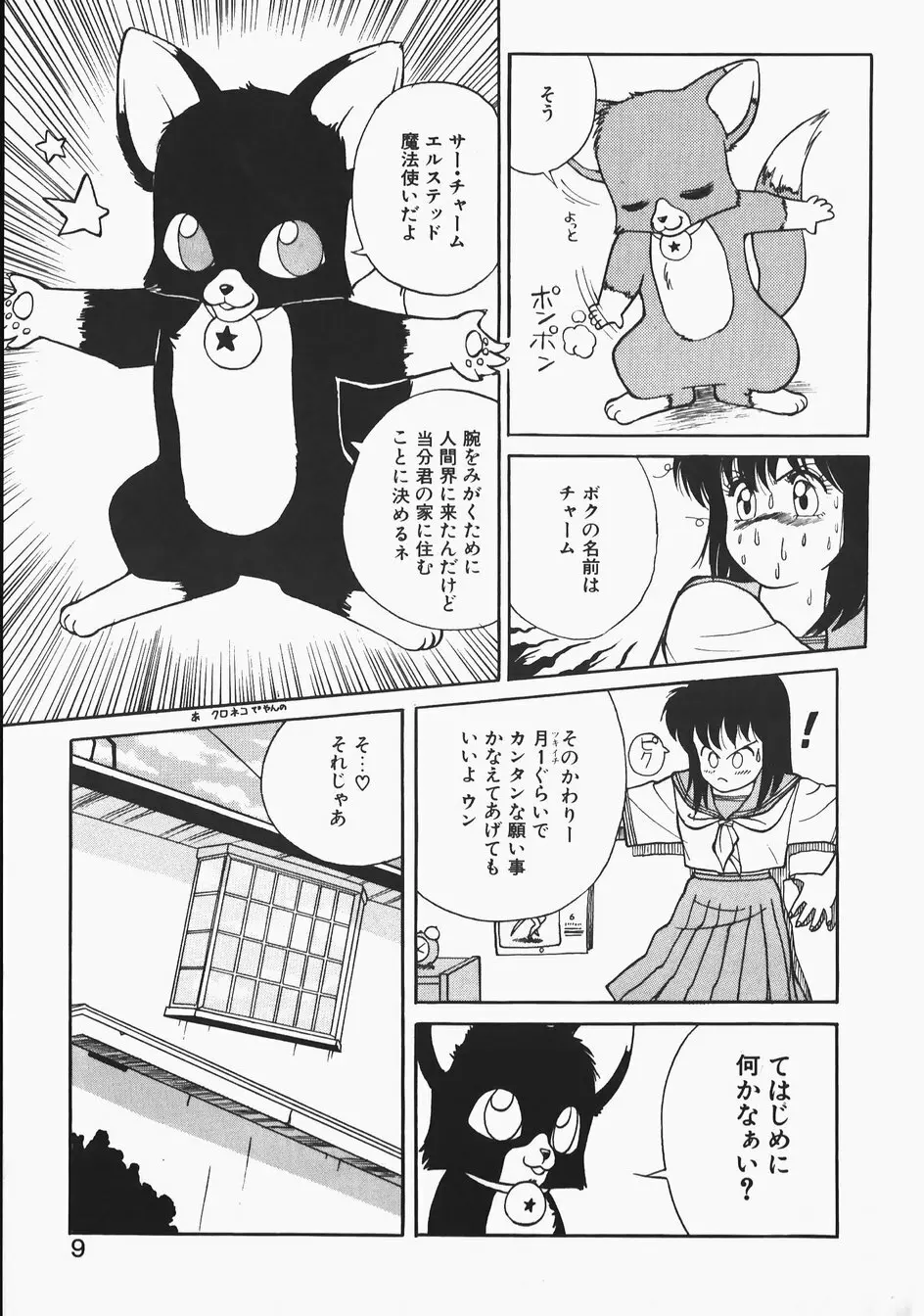 チャーム・ザ・キャット Page.9