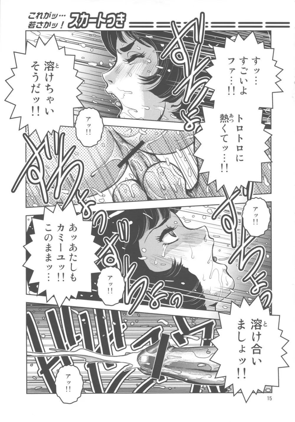 高熱源体挿入 Page.14