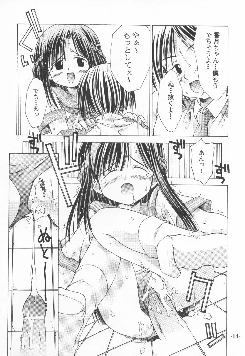 ちゅうにの征服女の子本2/3 消え残る真昼の淡い微熱 Page.14