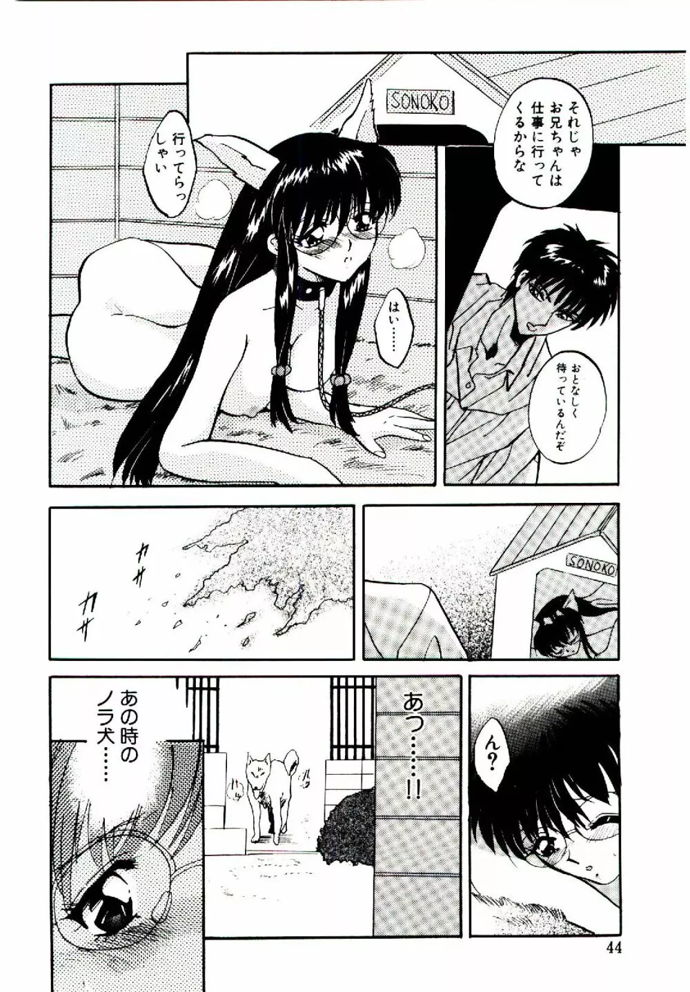 夜光娘 Page.45