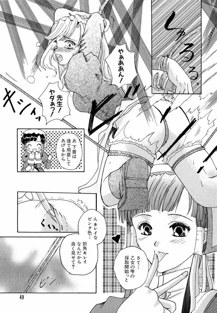電脳武闘娘 13 Page.49