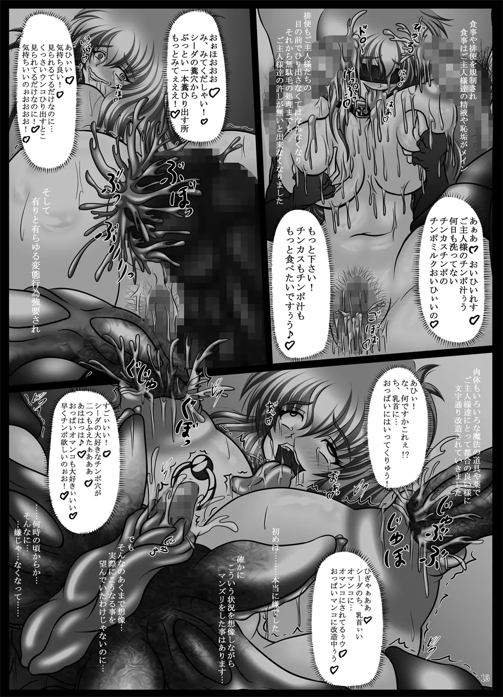 肉便姫シーダ ～淫乱痴王女のエムブレム～ Page.13