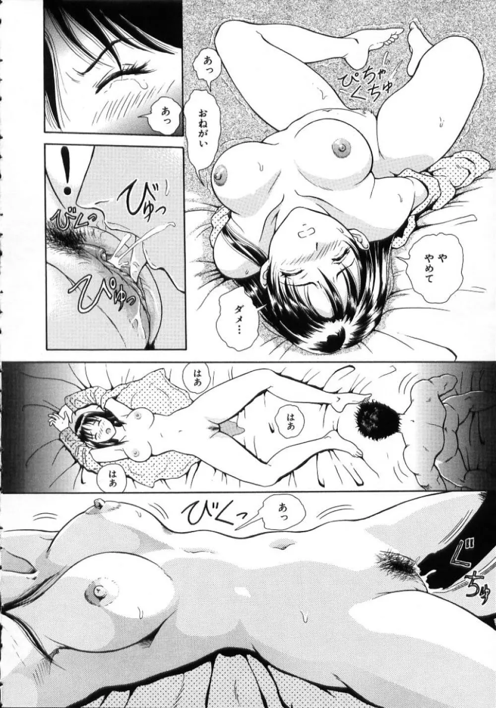 陽だまりの情事 Page.62