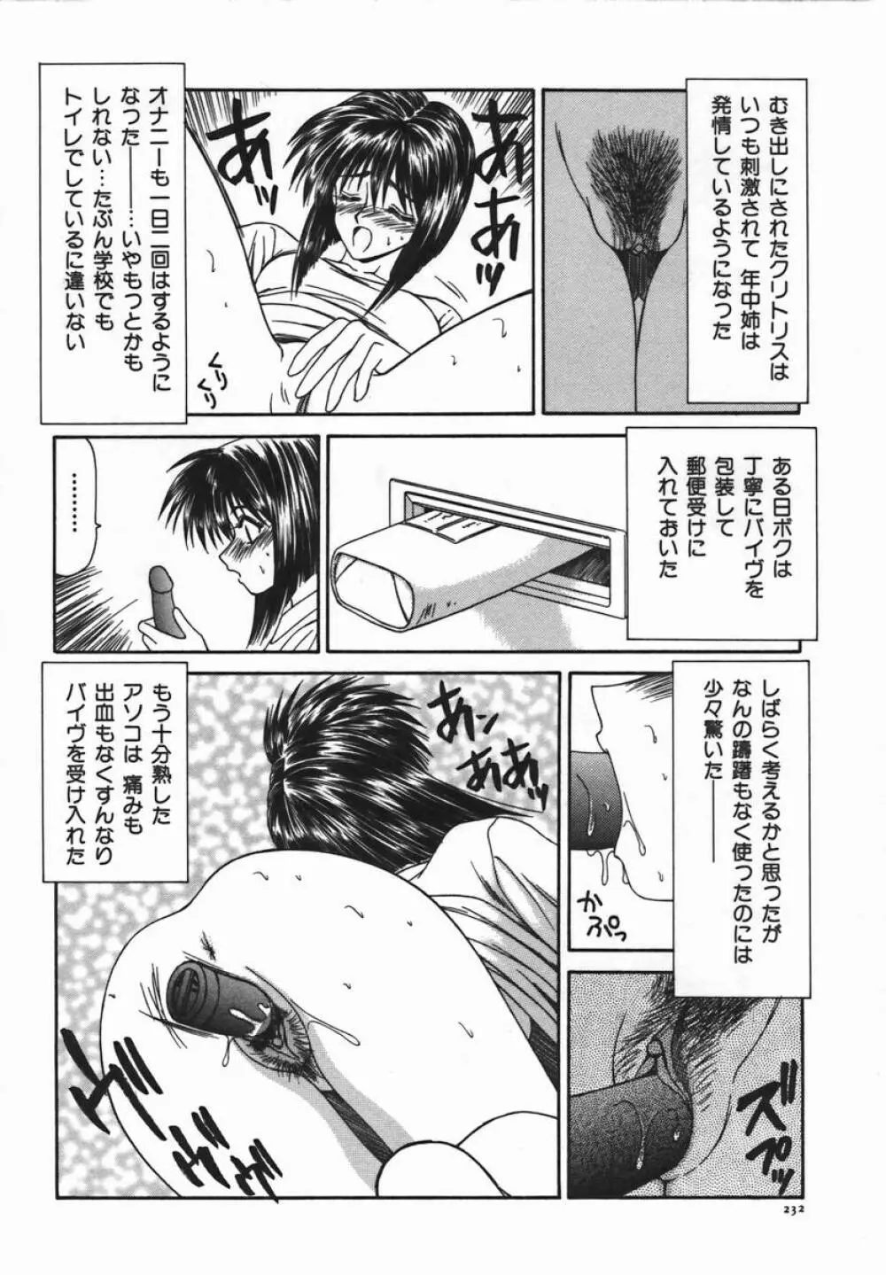 伊駒一平JUNK!! 美少女凌辱篇 Page.231