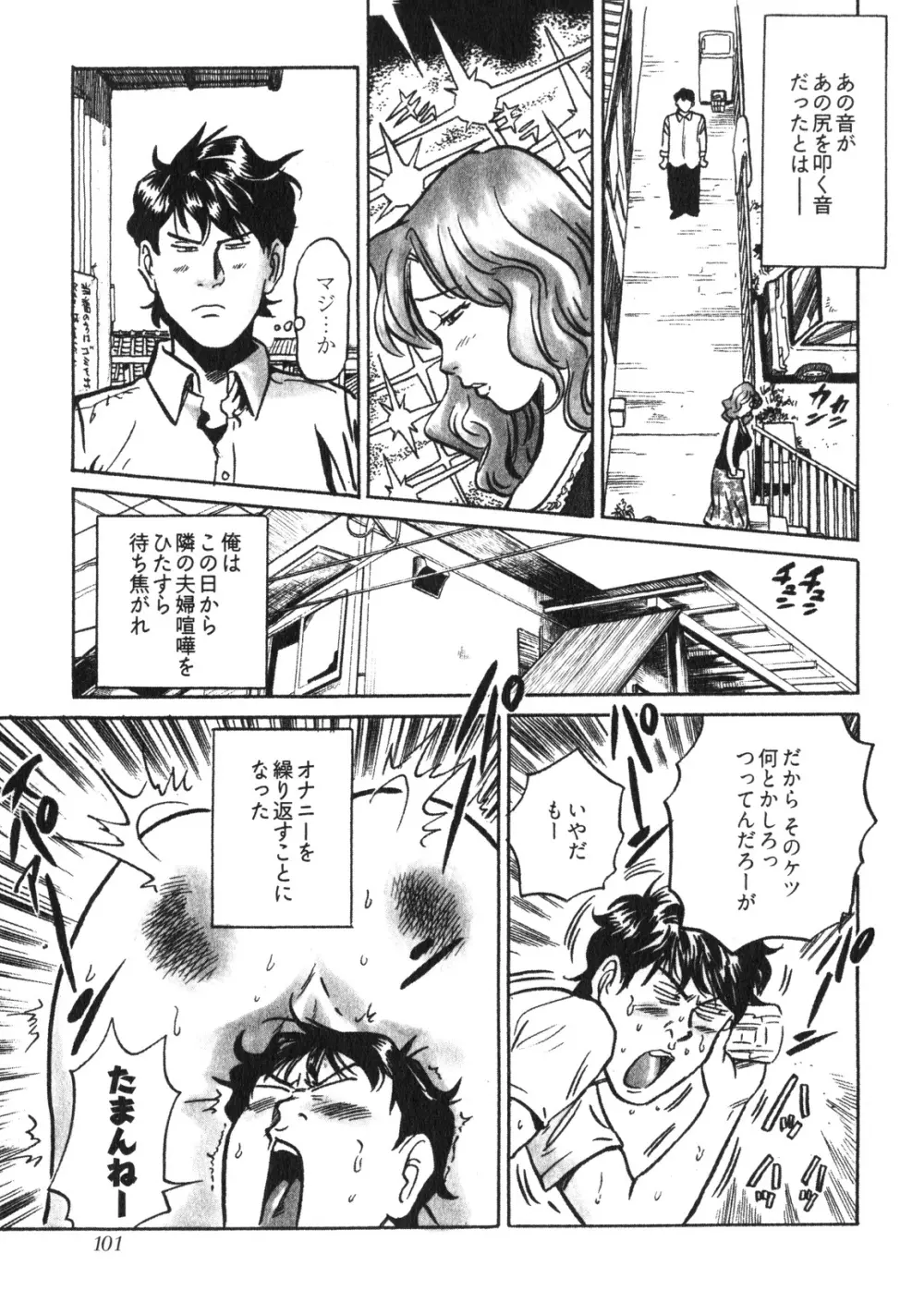 人妻生態図鑑 Page.104