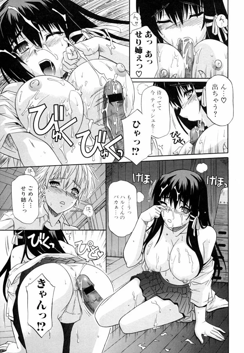 姉の媚乳 Page.29