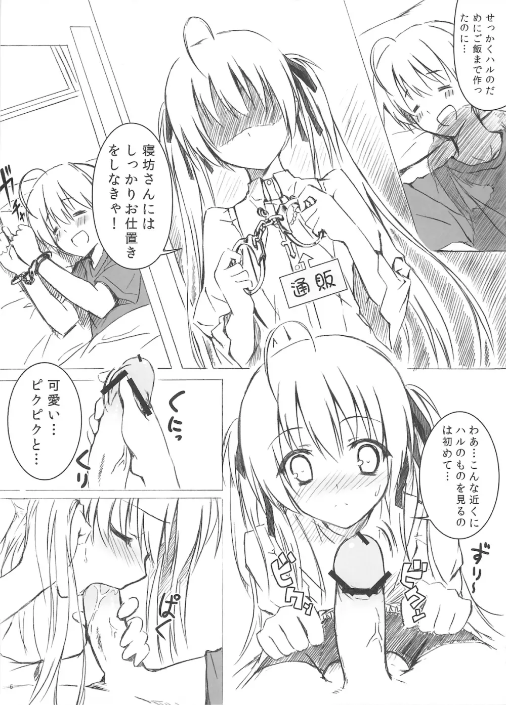 ソラのおもちゃ Page.5