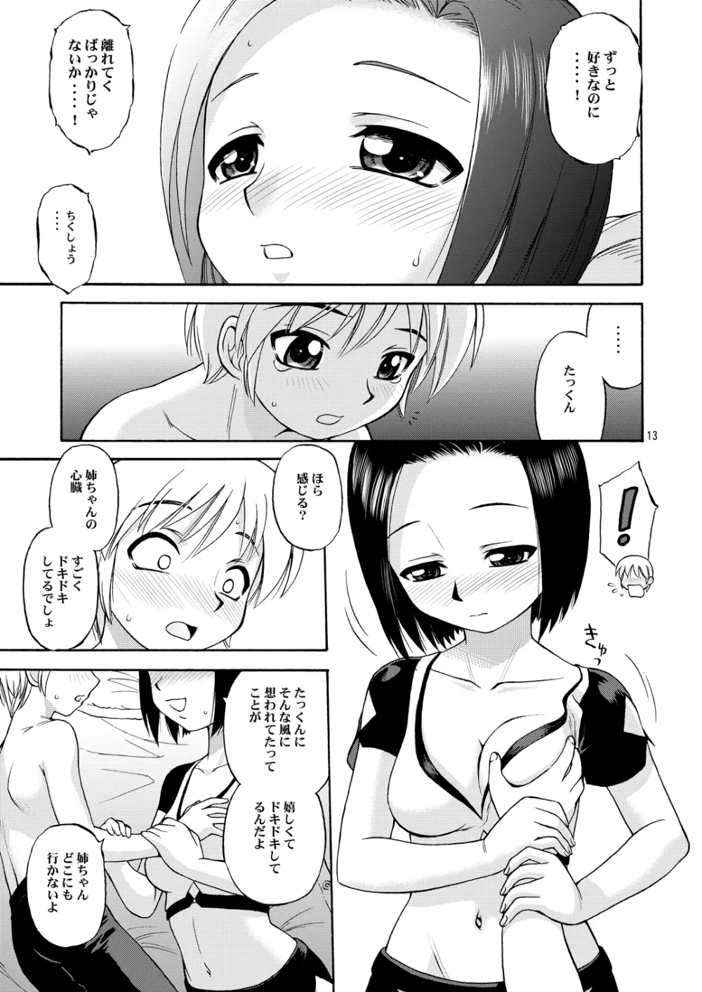 ヴァナプラス Page.12