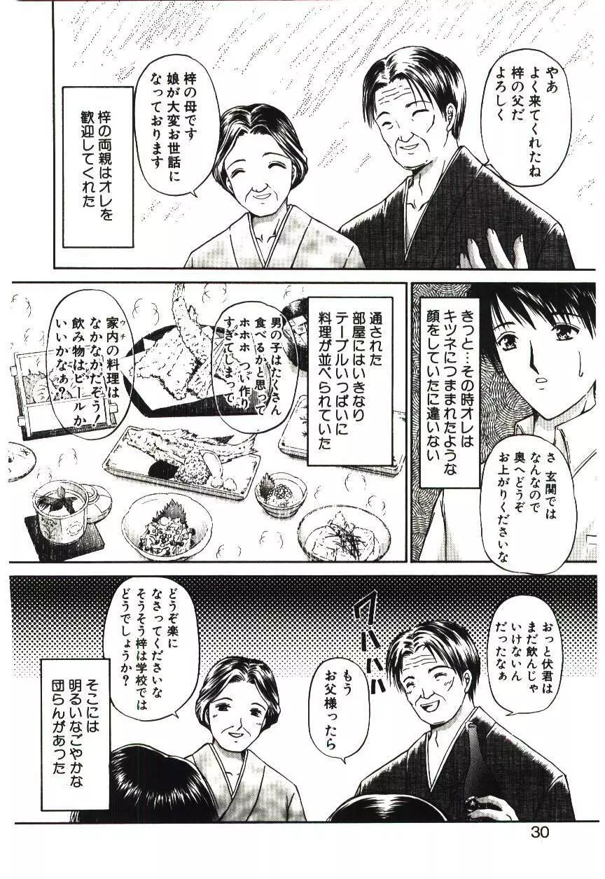 赫い涙 Page.29