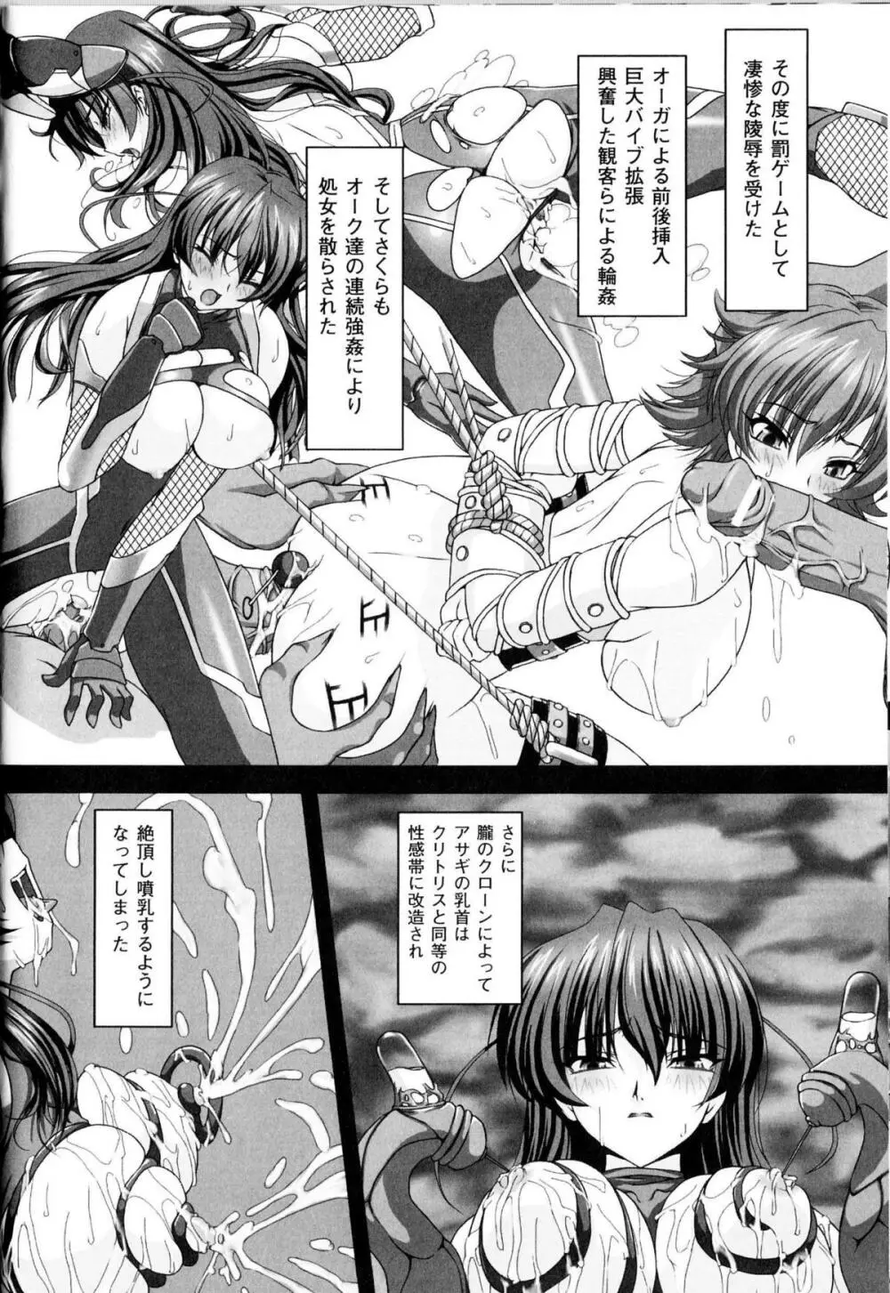 闘神艶戯 Vol.13 Page.13