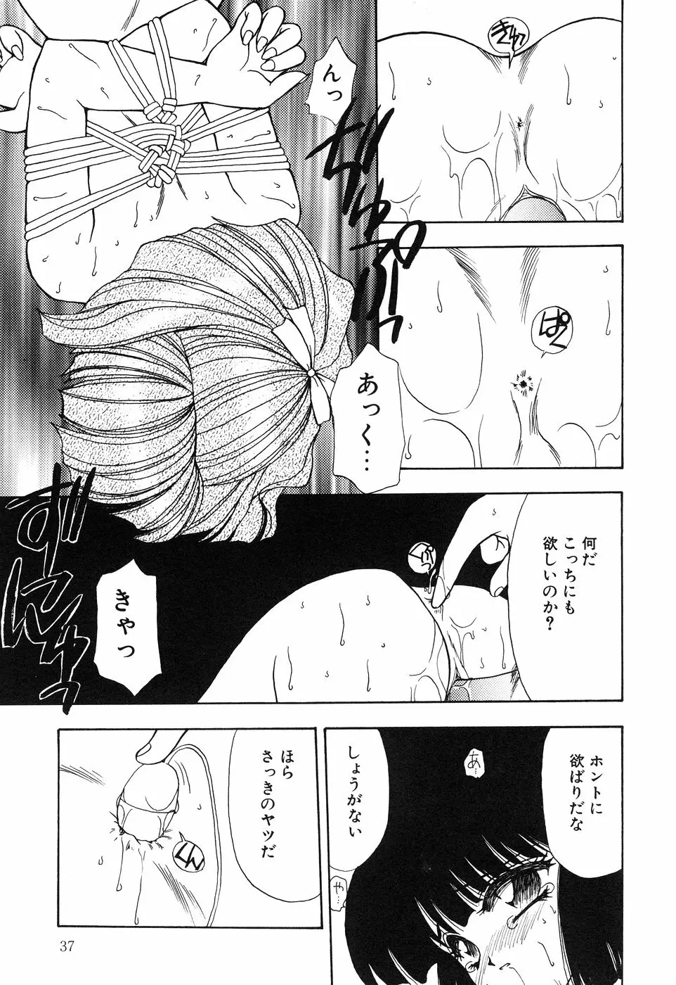 リトルピアス Vol.01 Page.39