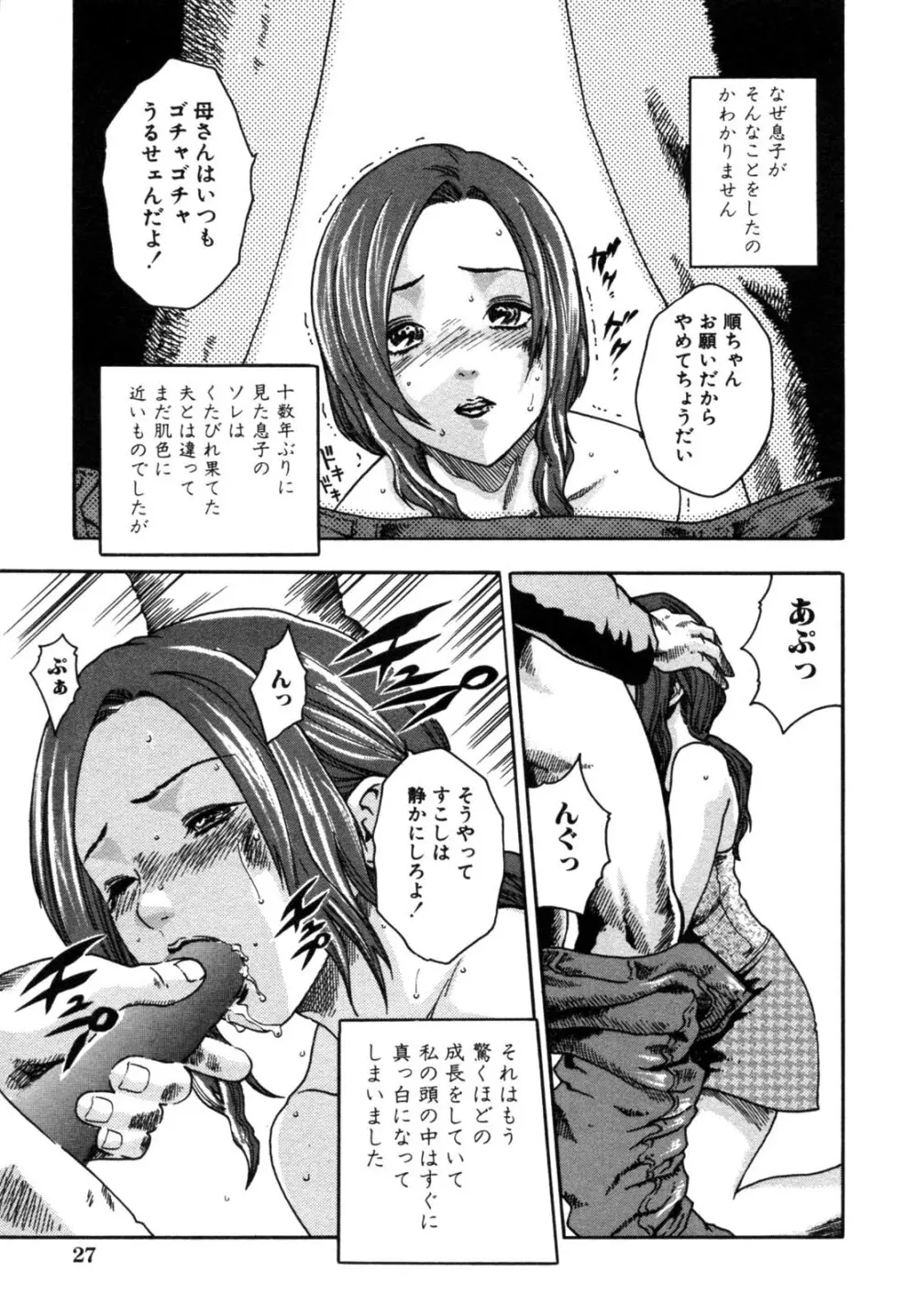 背徳華 Vol.2 Page.29