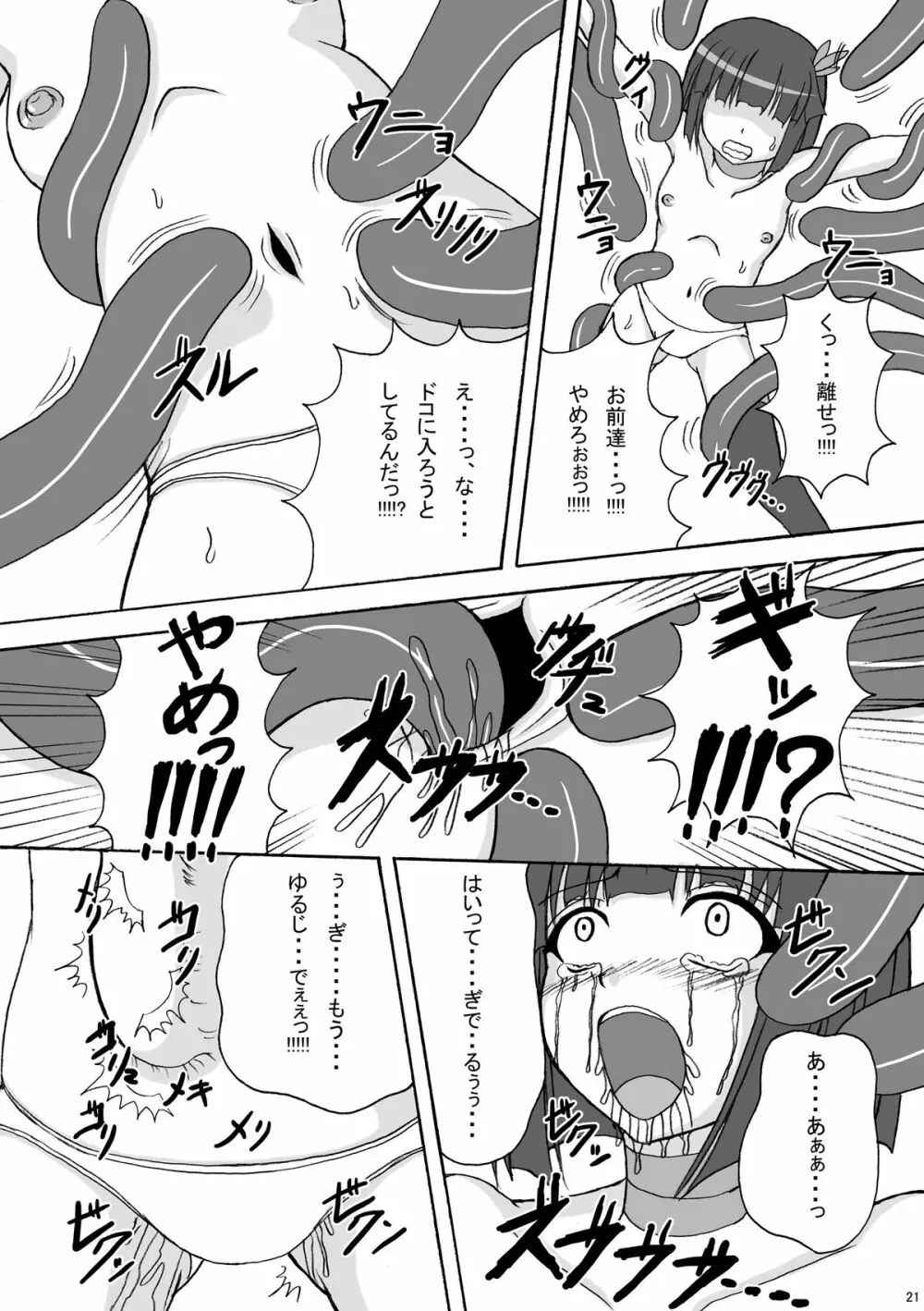 リップキャッチ プリスカ3 Page.21