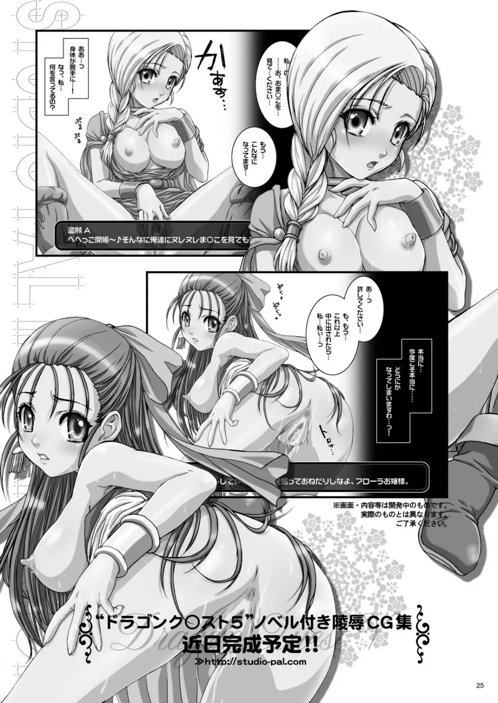 秘密の姉妹 Page.25