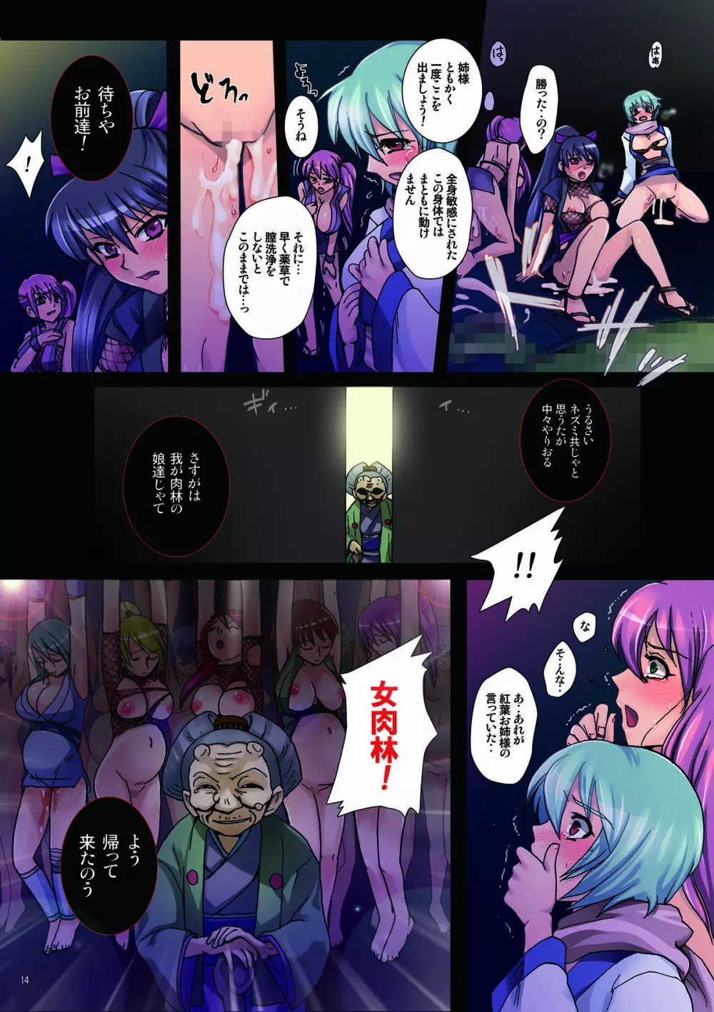女肉忍法帳~第一夜 肉林の娘~ Page.14