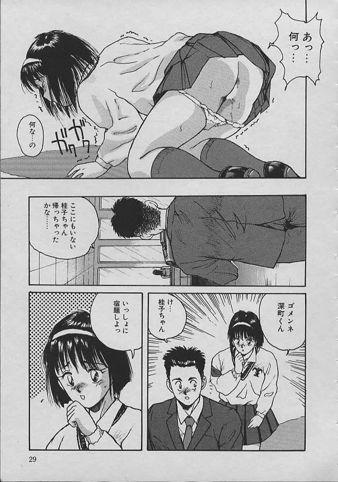 巫女ちゃんが行く Page.28