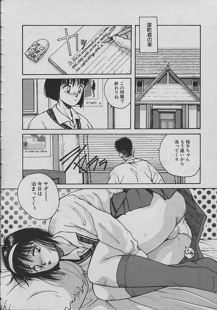 巫女ちゃんが行く Page.29