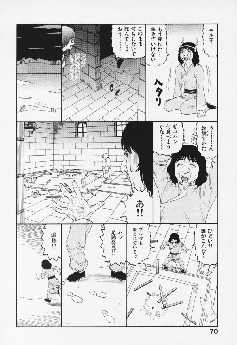 ブルマー200X 増補改訂完全版 Page.75