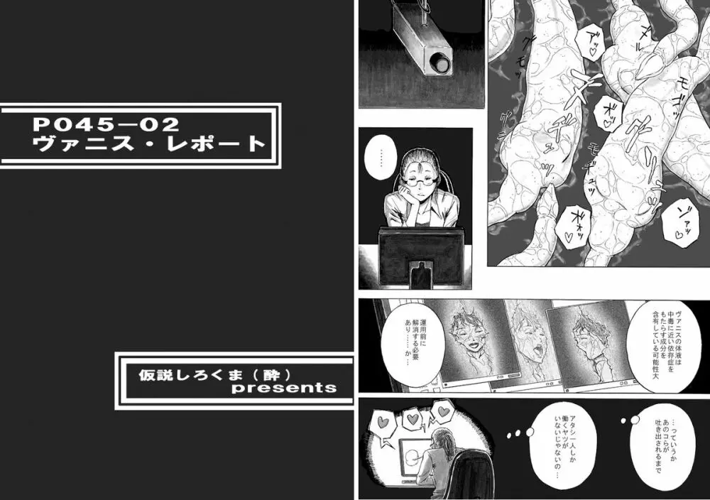 P045-02 ヴァニス・レポート Page.26