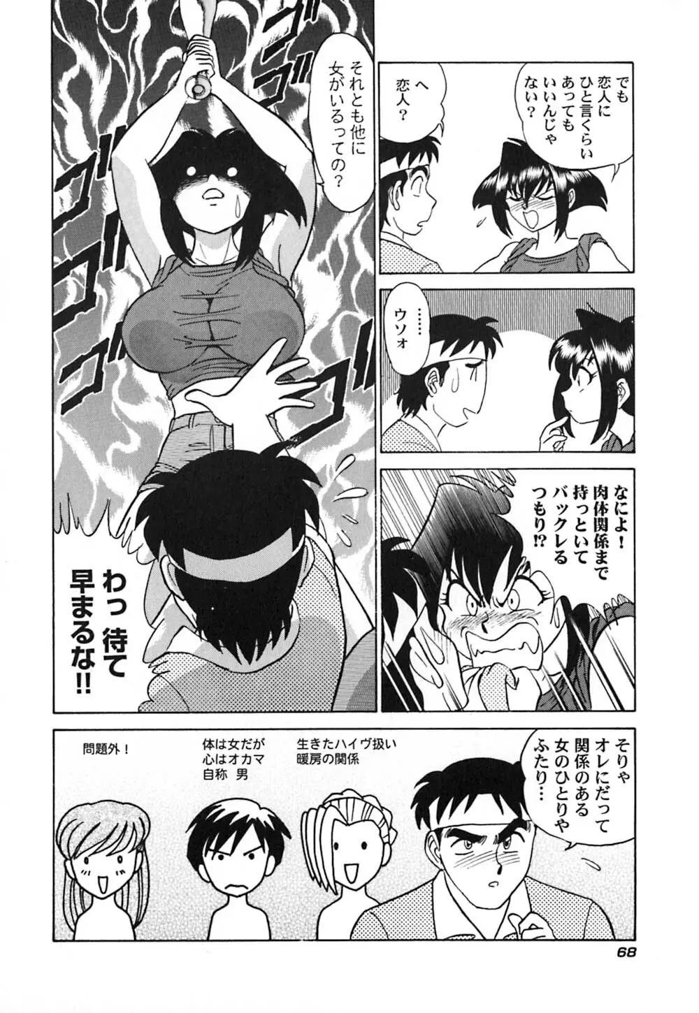 桃色物件（ピンクハウス） 第3巻 Page.73