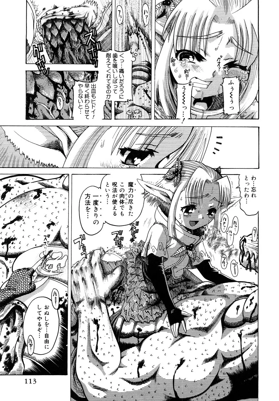 精性魔装オルガーナ Page.114