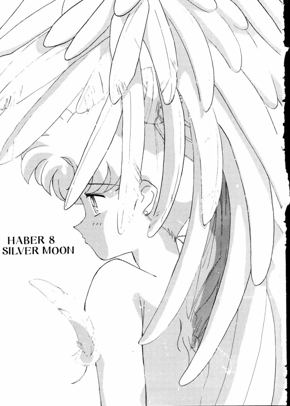 [梅助 (J・さいろー) HABER 8 SILVER MOON (セーラームーン) Page.2